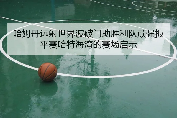 哈姆丹远射世界波破门助胜利队顽强扳平赛哈特海湾的赛场启示 - LEYUESPORTS