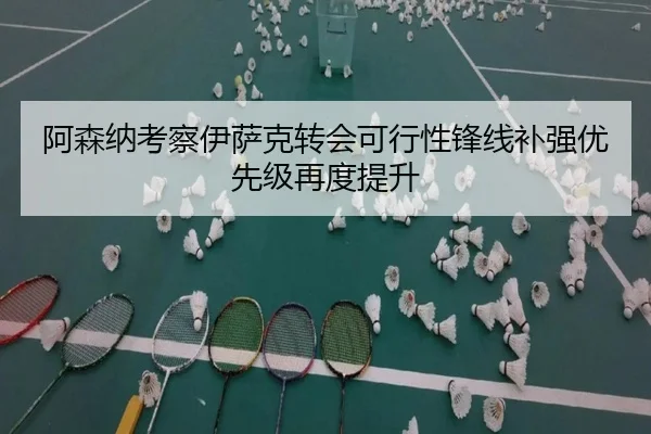 阿森纳考察伊萨克转会可行性锋线补强优先级再度提升 - LEYUESPORTS